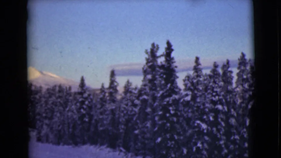 The 1946 Alaska home-movie view shows dense snow-laden evergreens with a mountain slope partly visible at left.
