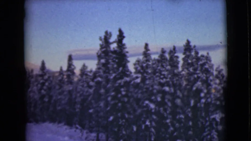 Snow-covered Alaska evergreens fill the frame in soft 8mm color, with no people visible in this still.