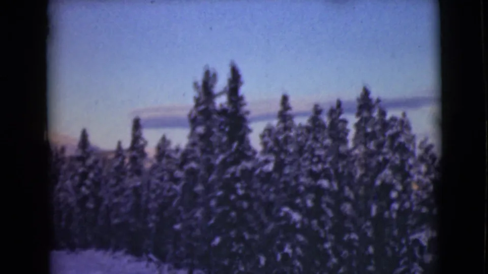 1946 Alaska 8mm frame showing snow-covered evergreens under a clear, pale blue winter sky.