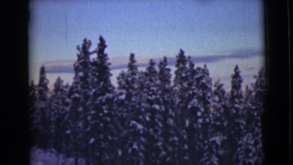 1946 Alaska home-movie frame with dense snow-covered evergreen treetops and a pale blue sky.