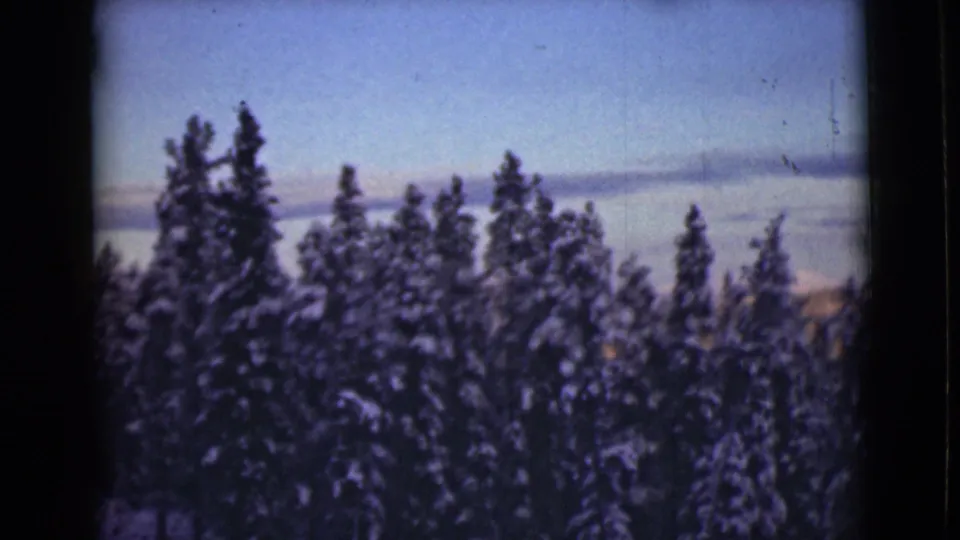 1946 Alaska 8mm frame showing snow-coated evergreens in front of a pale winter sky and distant cloud band.