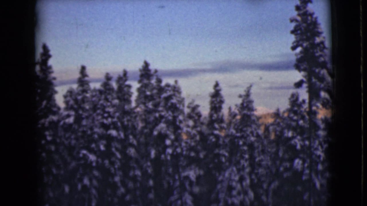 1946 Alaska 8mm frame showing snowy pine trees in dark silhouette beneath a pale blue sky and horizontal cloud band.