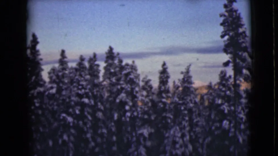 1946 Alaska 8mm frame showing snowy pine trees in dark silhouette beneath a pale blue sky and horizontal cloud band.