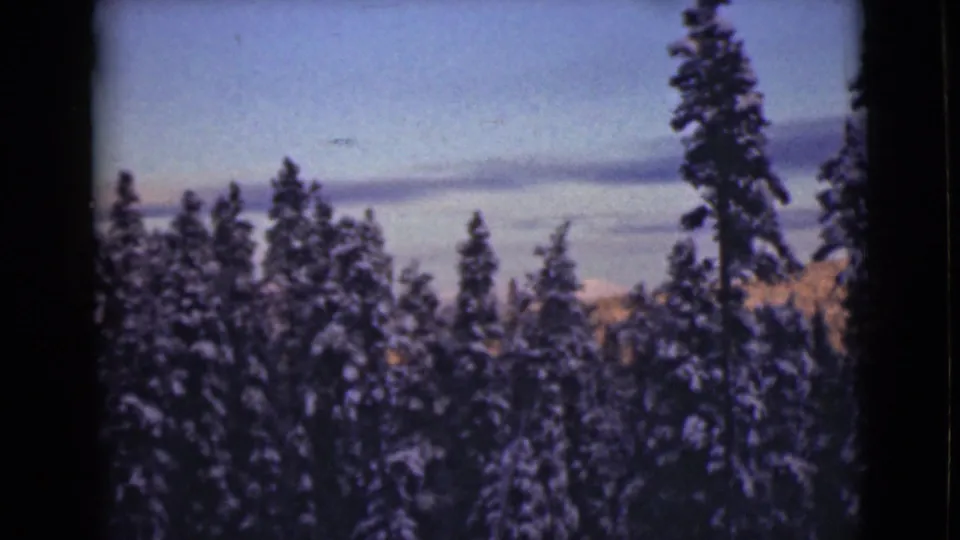 1946 Alaska home-movie frame with dense snow-covered conifers, a pale sky, and faint distant hills near the horizon.