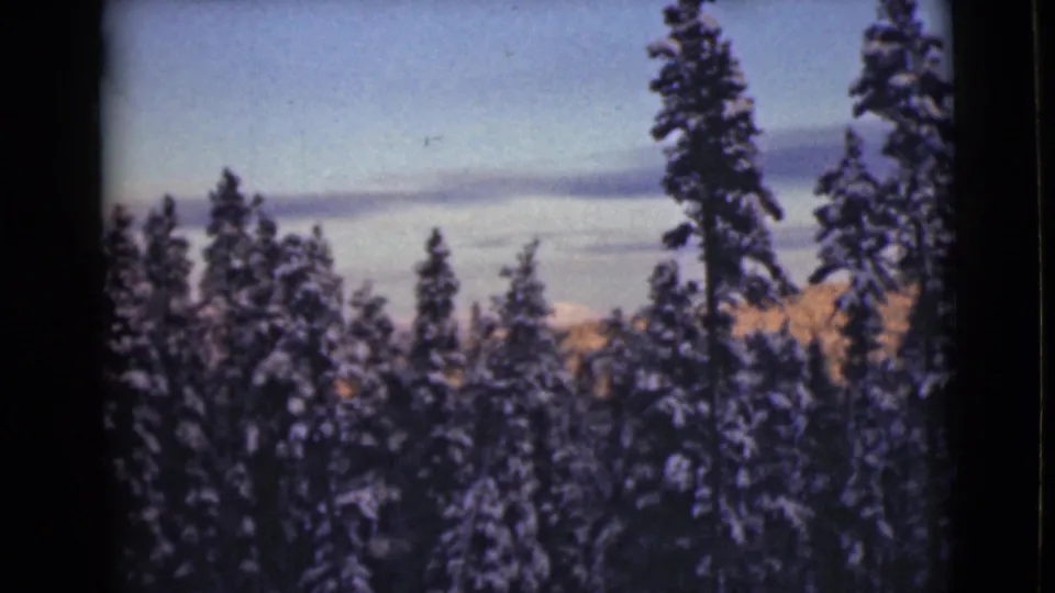 1946 Alaska 8mm frame showing a slightly shifted view of snow-covered pines, blue sky, and warm-toned hills beyond the forest.