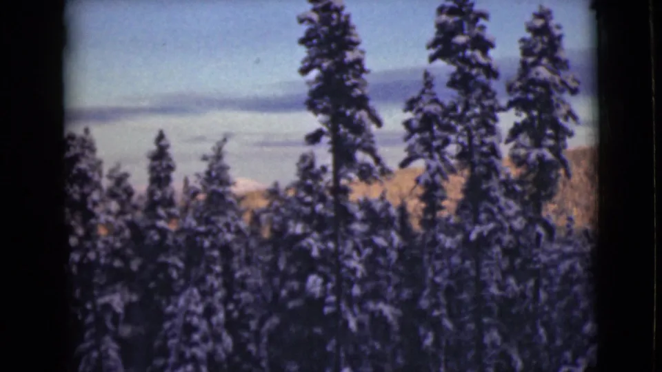 1946 Alaska home-movie frame showing snow-laden evergreens and a faint mountain or ridge line under cool dusk light.
