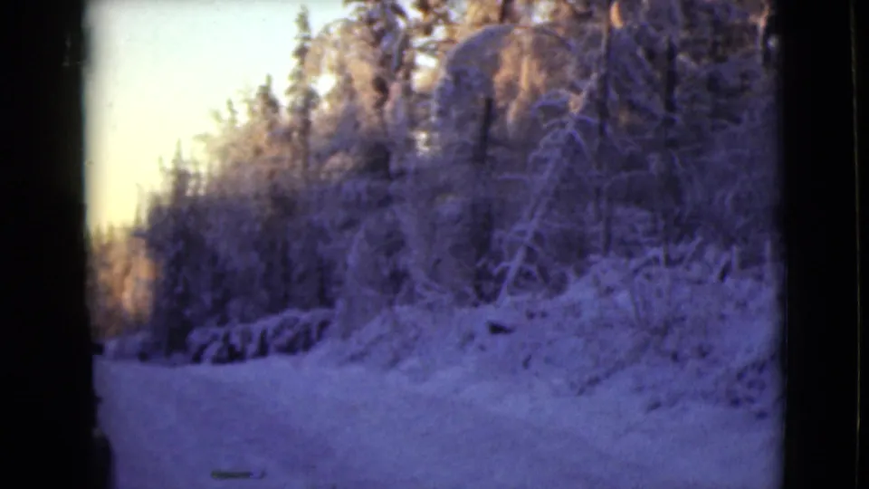 Snow-packed road through an Alaskan winter forest, with frosted roadside trees and pale evening light visible in the frame.