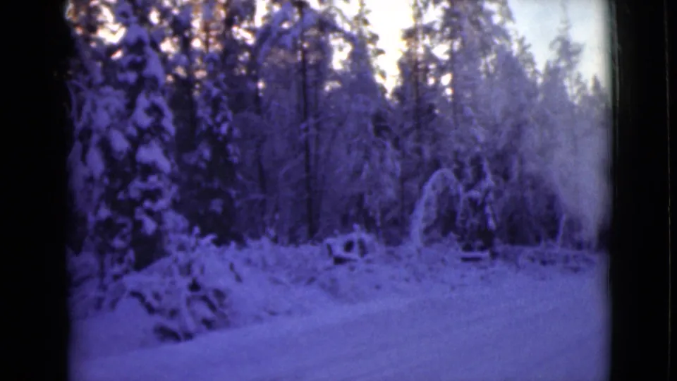1946 Alaska frame looking across a snowy forest road, with smoke haze at the right side and no people visible.
