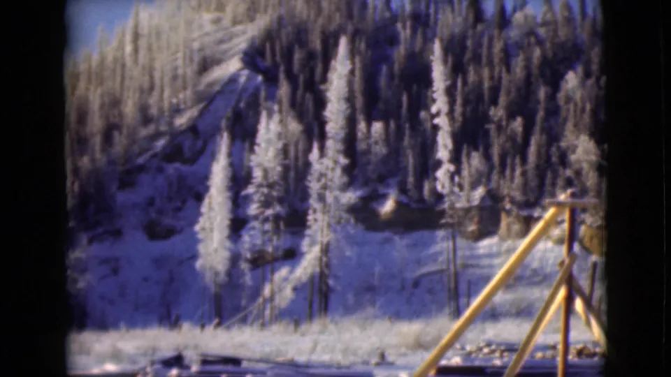 Soft 8mm view of an Alaska winter slope, with snow-covered trees and a yellow railing or support in the foreground.