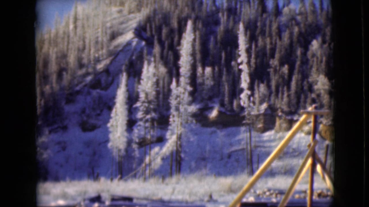Snowy hillside with frost-covered evergreen trees and a wooden railing in the foreground.