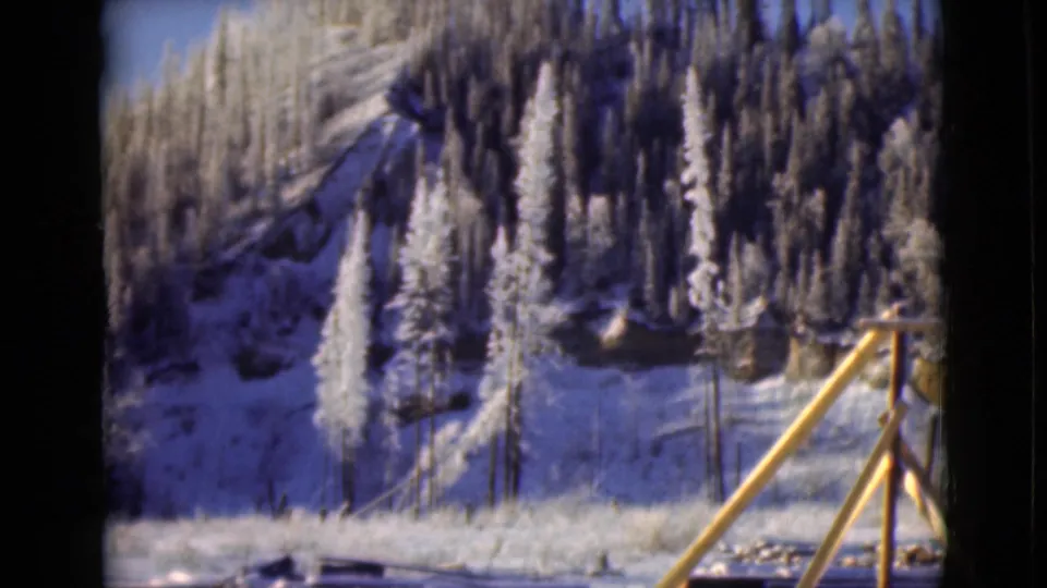 1946 Alaska 8mm view of frost-covered trees on a snowy slope, with a wooden railing cutting across the foreground.
