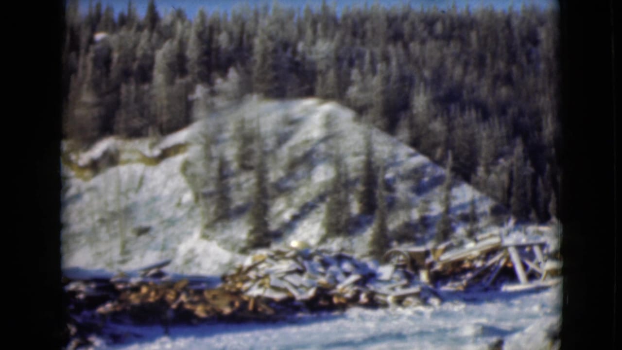 Snowy forest slope with piles of cut timber in the foreground.