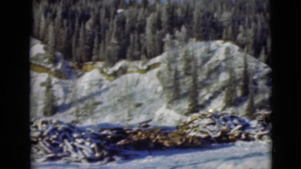 1946 Alaska home-movie frame of a snowy forested slope and loose cut wood in the foreground.