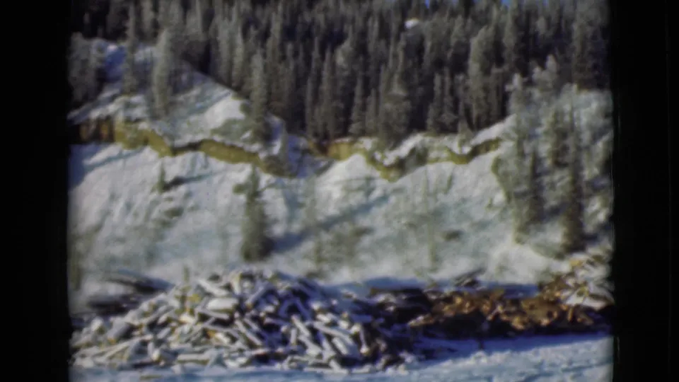 1946 Alaska 8mm frame with a snowy mountain edge, dark evergreen trees, and logging debris at the foreground.