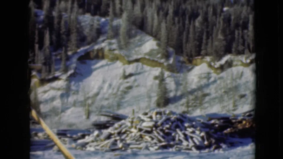 1946 Alaska home-movie frame showing a snowy evergreen hillside, a utility pole, and cut timber debris in the foreground.