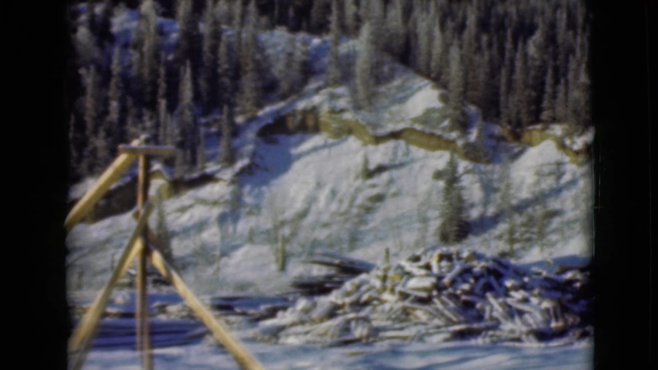 Snowy wooded hillside with cut logs and a wooden tripod frame in the foreground.