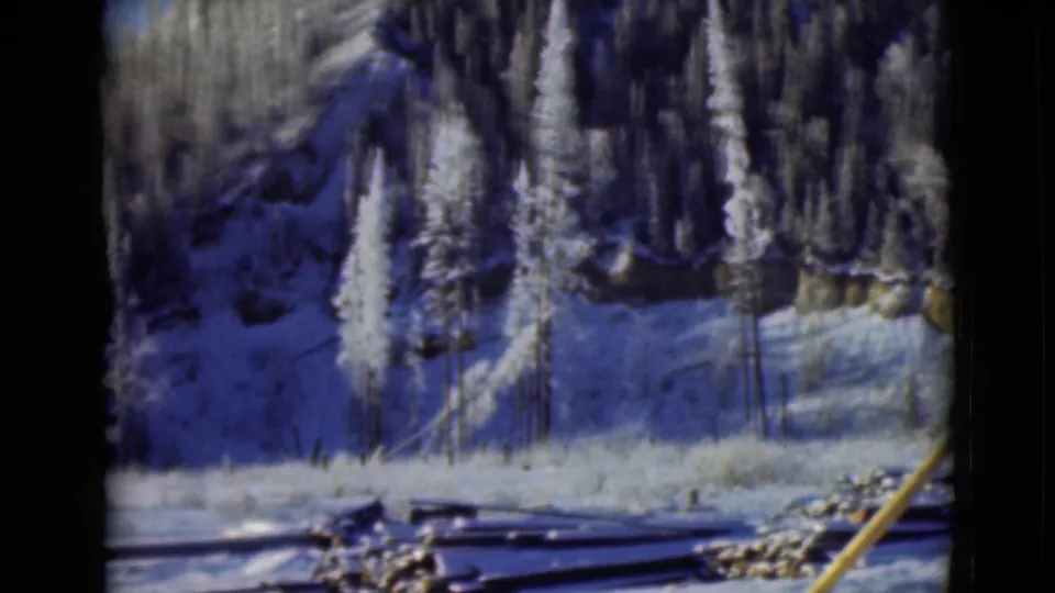 1946 Alaska home-movie frame looking across blue-shadowed snow toward dense evergreens, cut logs, and the edge of a wooden structure.