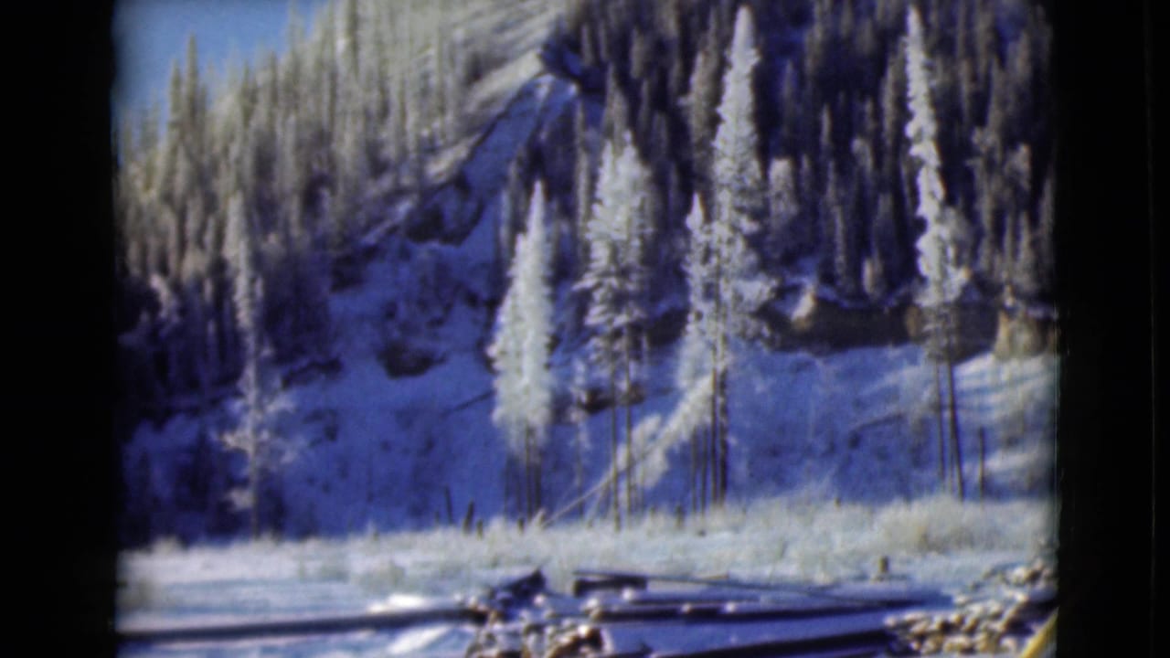 Snow-covered evergreens on a steep mountain slope above logs and posts in the foreground.