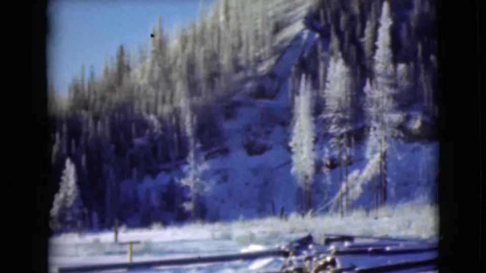 1946 Alaska home-movie frame of a snowy wooded slope, pale sky, frost-laden evergreens, and low wooden elements in the foreground.