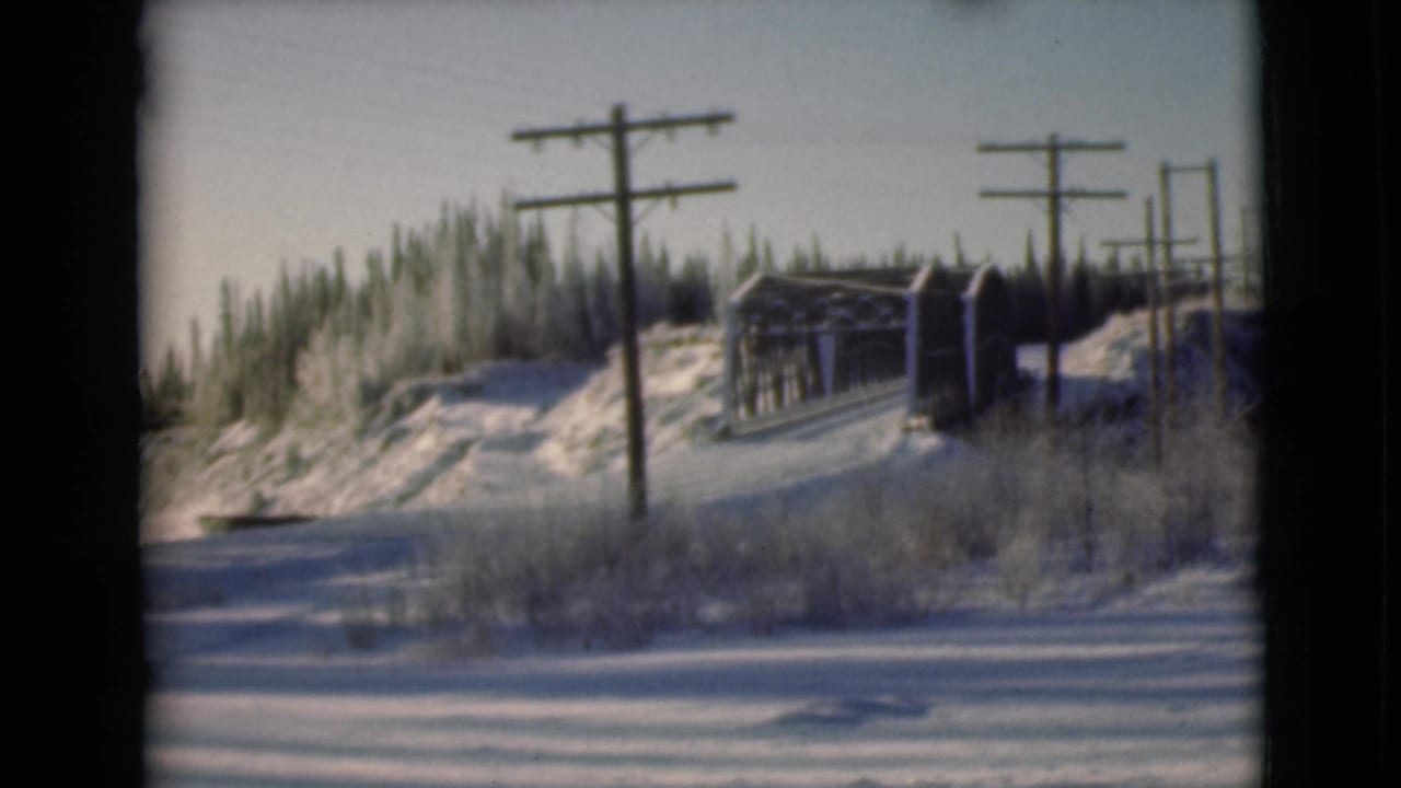 Snowy road edge with utility poles, bridge structure, brush, and trees.