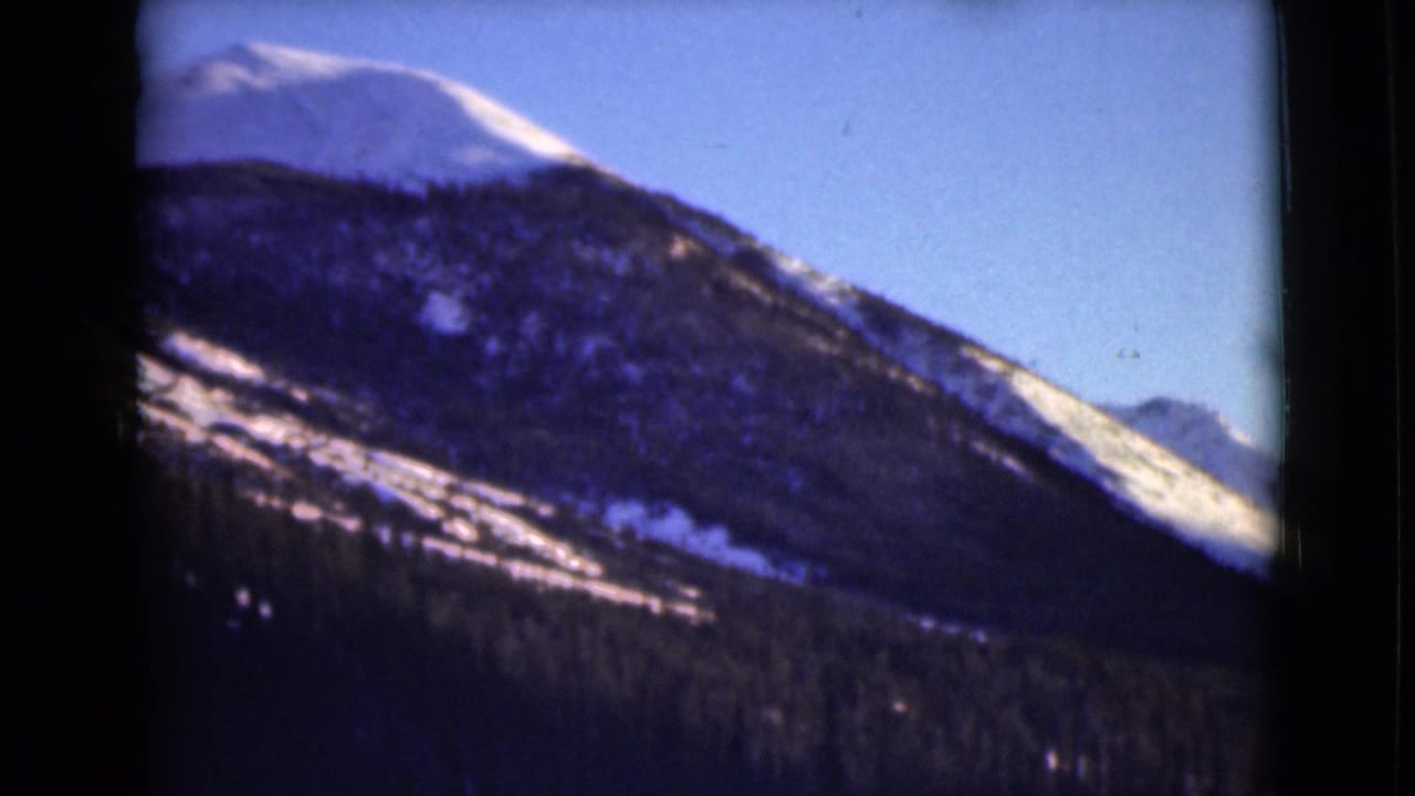 Snow-covered mountain above dark evergreen slopes under a blue sky.
