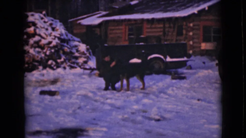 1946 Alaska home-movie frame showing a dog in snow near a dark truck or trailer, with a woodpile and log cabin behind it.