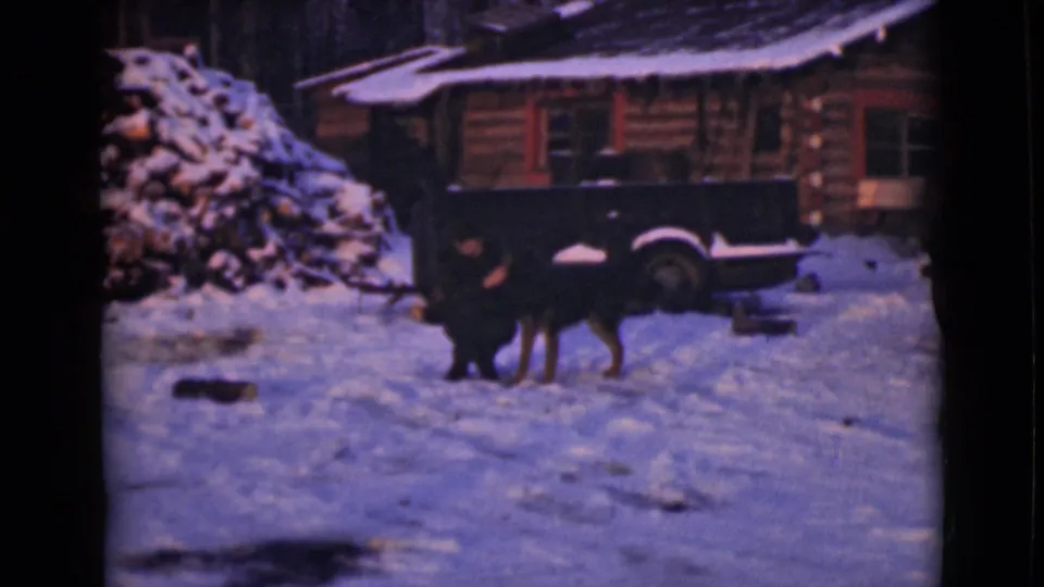 1946 Alaska frame of a dog beside a dark truck or trailer in a snowy cabin yard, with stacked firewood and trees visible.