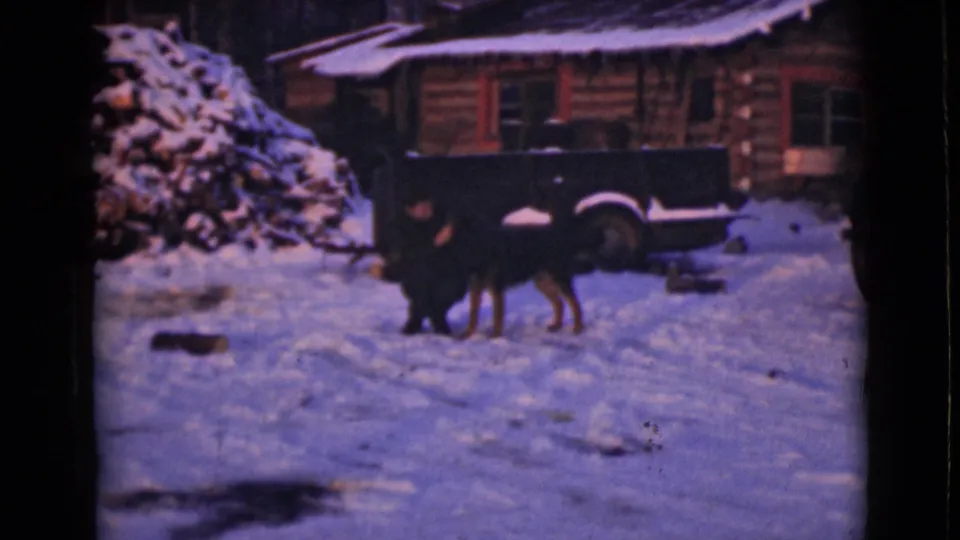 The large dark dog stands in the snowy Alaska yard while the woman remains nearby, with a log cabin, woodpile, and dark truck behind them.