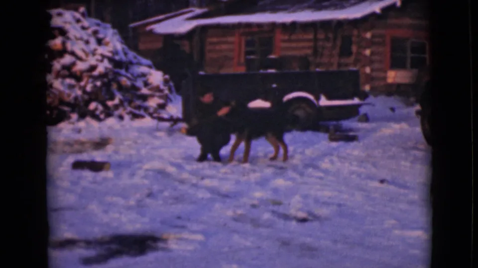 The woman and large dog are framed at a distance in the snowy 1946 Alaska yard, with the log cabin, woodpile, and truck still visible.