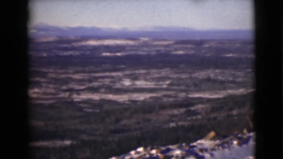 A broad Alaska winter landscape appears, with snow-covered ground, dark tree lines, distant mountains, and a pale sky.