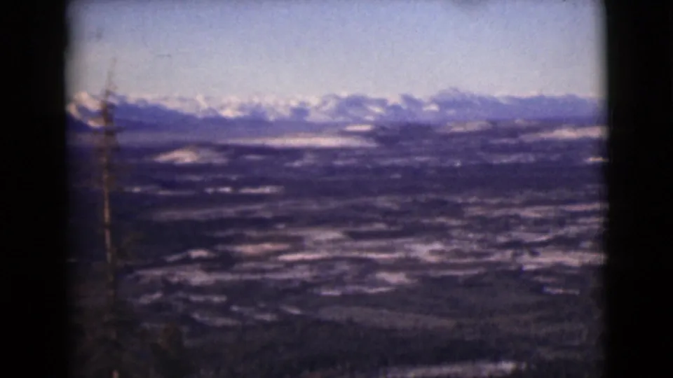 1946 8mm Alaska view of a mountain range over a wide valley, with a slender foreground tree near the left edge.