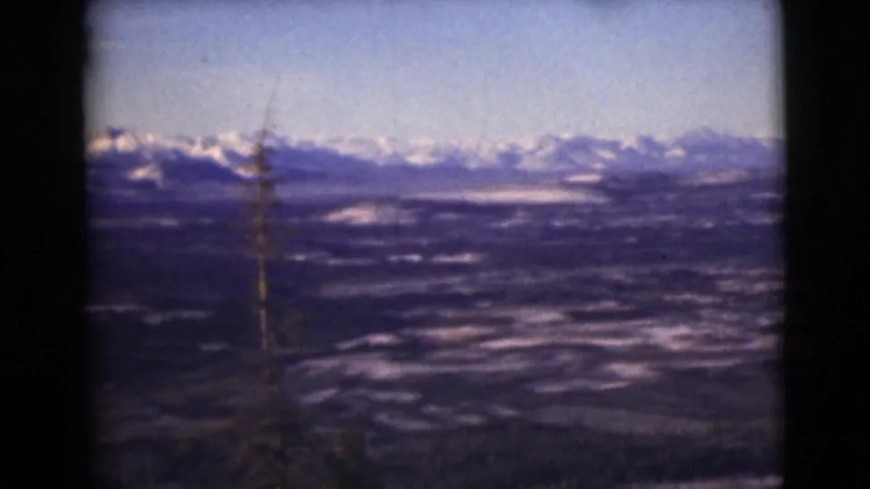 1946 Alaska home-movie frame showing snowy mountain peaks beyond a broad valley, partly framed by a lone foreground tree.
