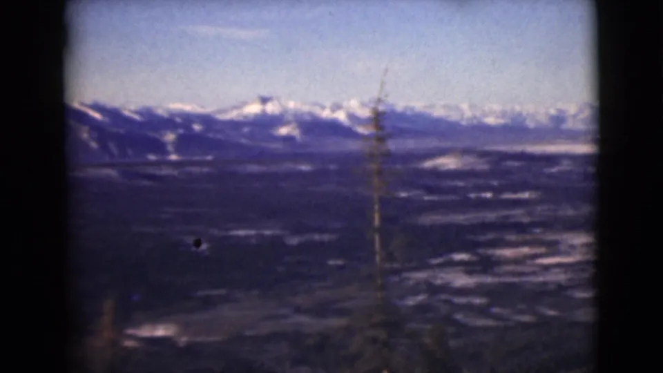 1946 Alaska 8mm frame with snow-bright mountain peaks, a shadowed valley, pale lowland patches, and a narrow tree in the foreground.