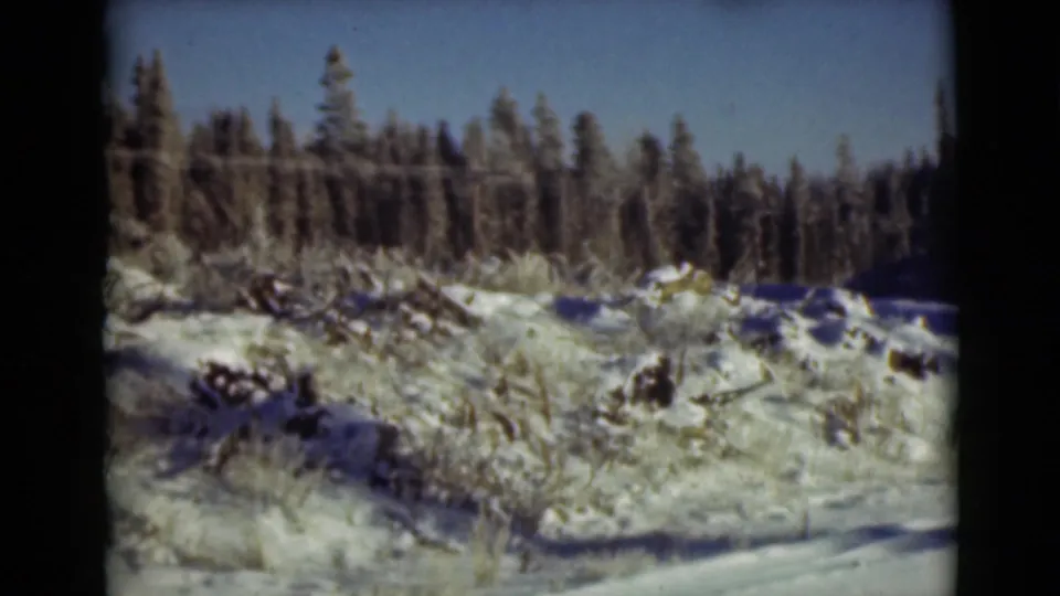 1946 Alaska 8mm frame of a snowy landscape with exposed brush, scattered debris, and a dark evergreen tree line.