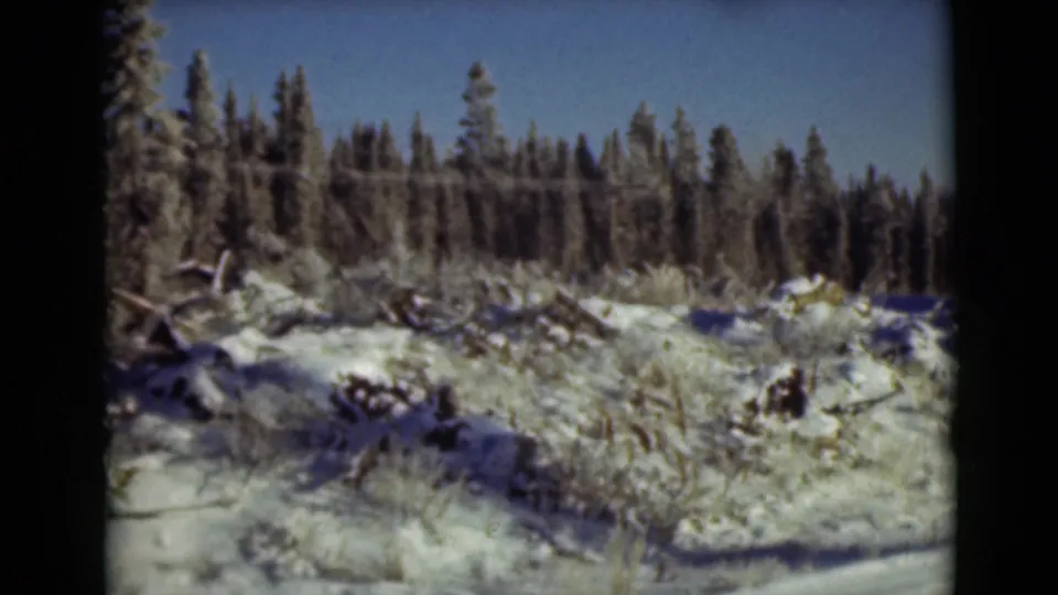 1946 Alaska 8mm frame showing uneven snow, exposed brush and logs, with evergreen forest across the horizon.