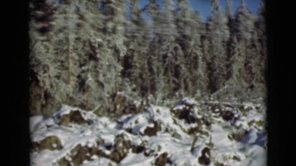 1946 Alaska 8mm frame showing snowy rocks, evergreen trees, and open blue sky in a quiet forest landscape.