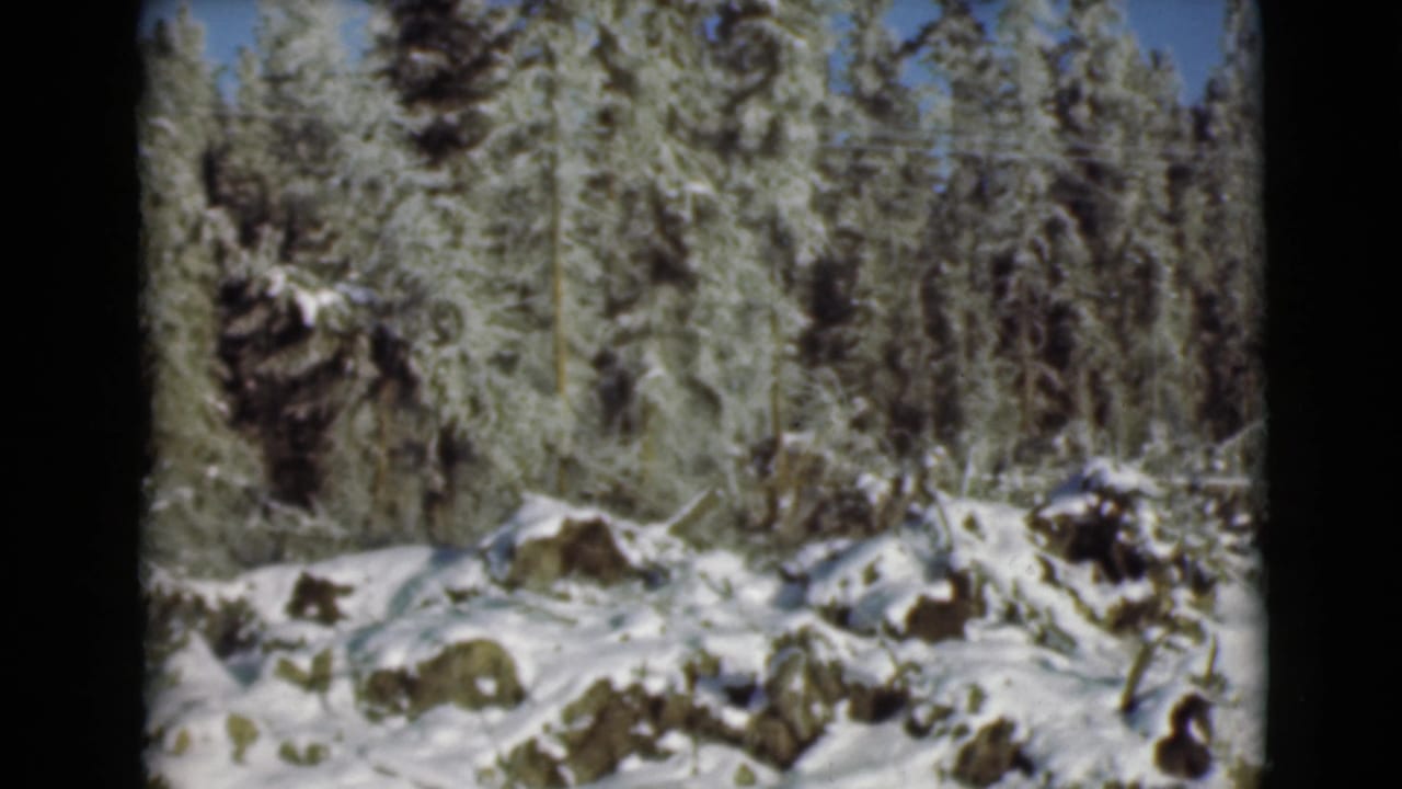 1946 Alaska 8mm frame showing snow-covered evergreens, rocks, and a frozen forest floor beside the road.