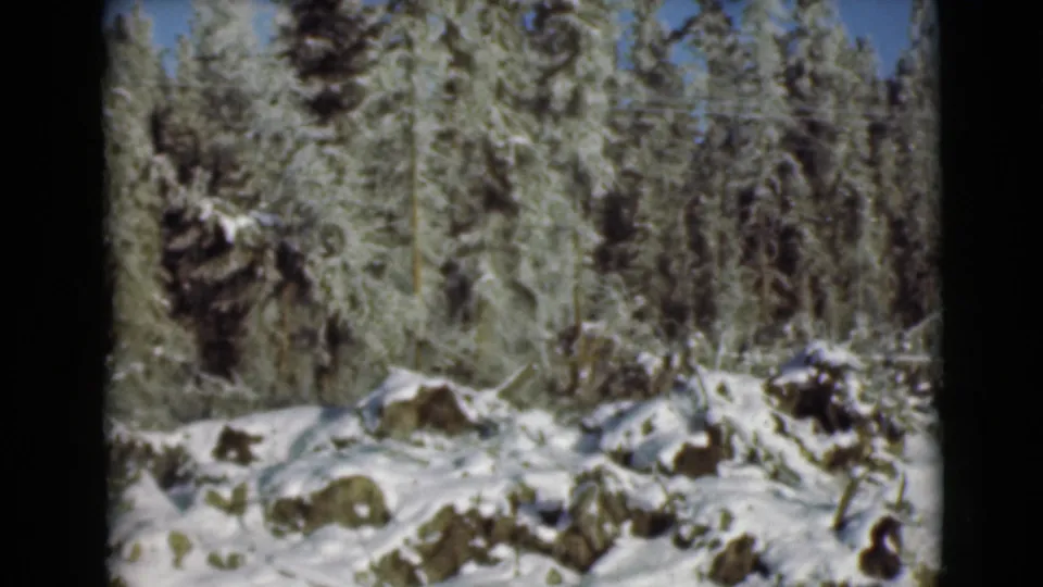 1946 Alaska 8mm frame showing snow-covered evergreens, rocks, and a frozen forest floor beside the road.