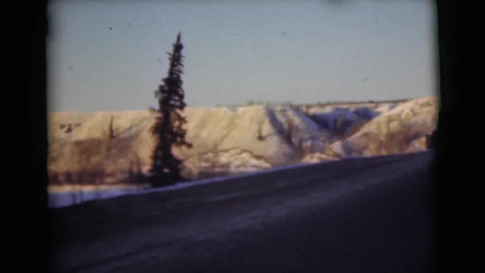 1946 Alaska roadside view with a tall evergreen near a dark road and snow-covered hills beyond.