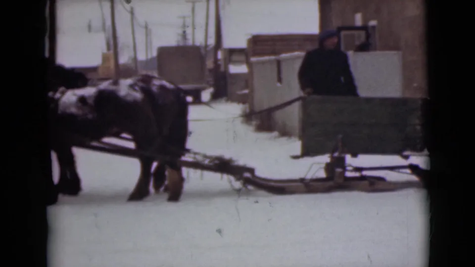 1946 Alaska frame with an adult in dark clothing beside a green wooden sled hitched to two horses on a snowy street.