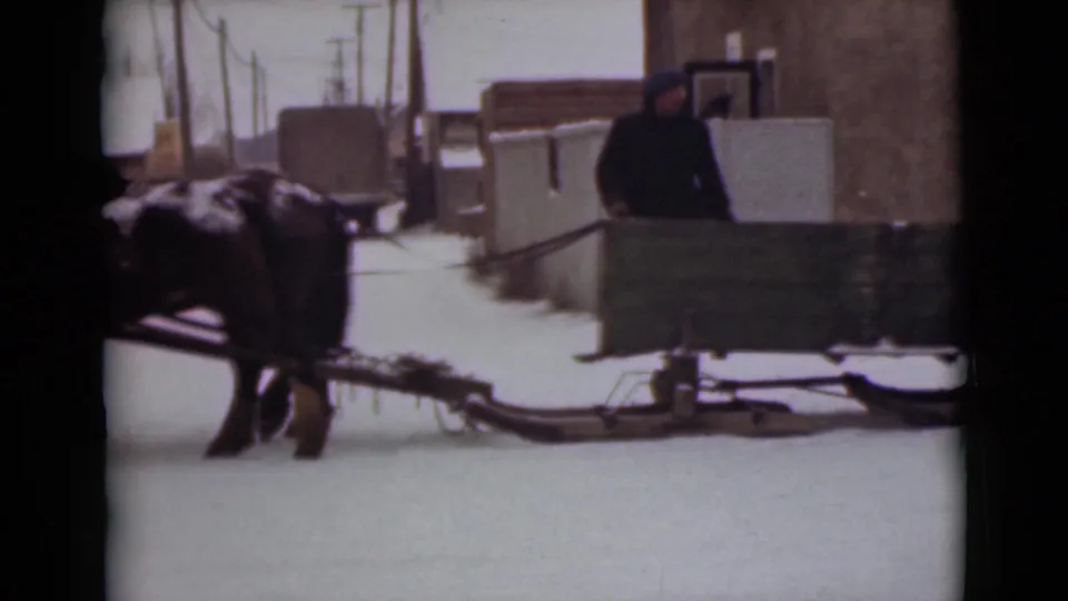 In 1946 Alaska footage, a dark horse pulls a green wooden sleigh past snow-covered buildings while a bundled man stands nearby.