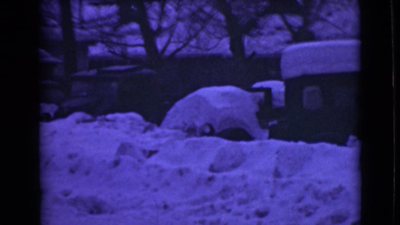 Snow-buried vehicles behind high snowbanks under bare trees in a dark winter scene.