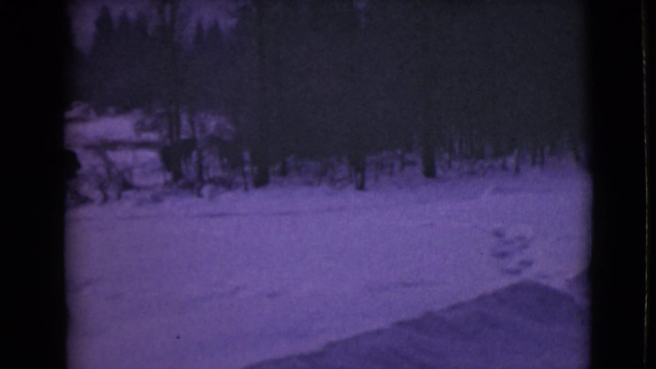 1946 Alaska 8mm frame showing a snowy road or path, dark trees, footprints, and a purple-tinted winter landscape.