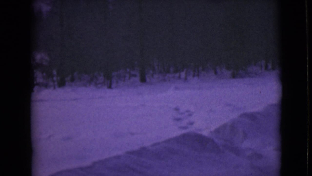 Snowy track with footprints leading toward a dark tree line.