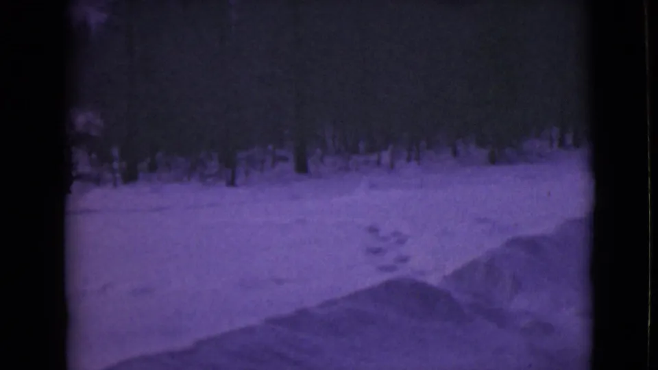 Purple-tinted 1946 Alaska home-movie frame with footprints crossing snow beside a road or path and forest edge.