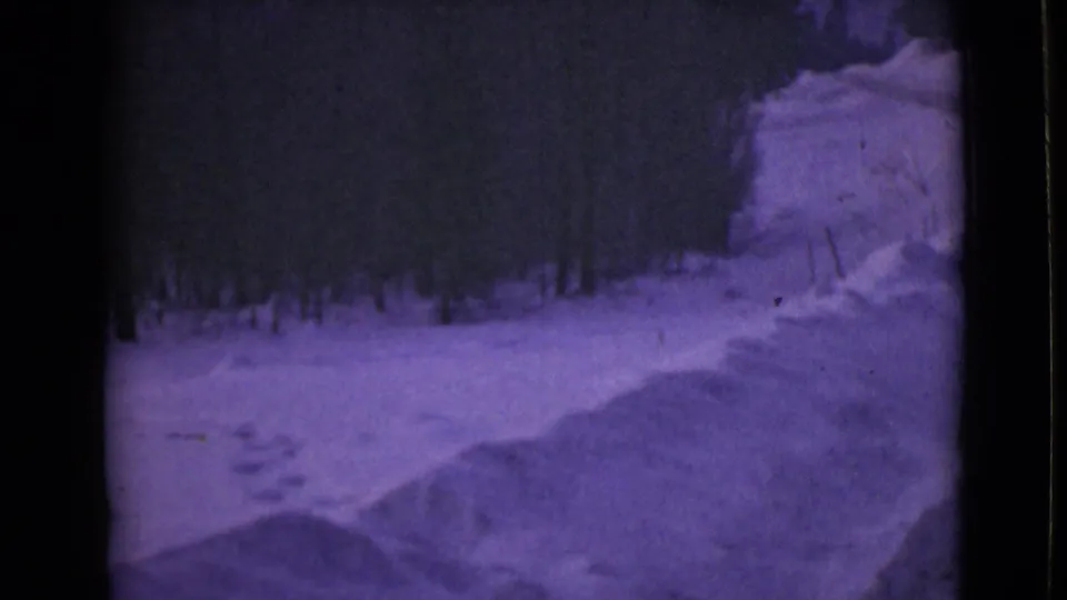 Final 1946 Alaska home-movie frame of a purple-tinted snowy path, footprints, snowbanks, and surrounding trees.