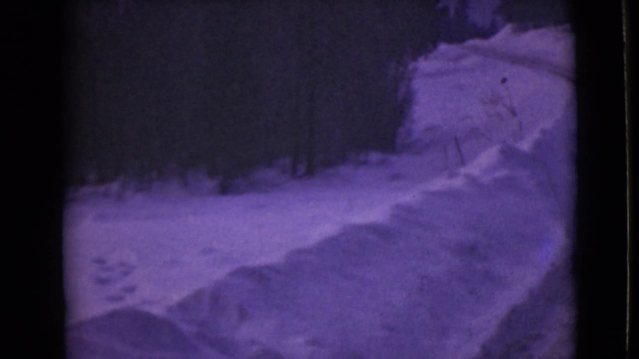 1946 Alaska home-movie frame showing a snow-covered road or track bordered by heavy drifts and a dark forest edge.