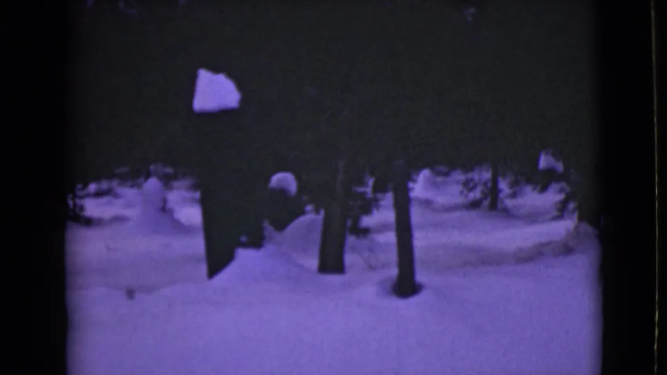 1946 Alaska home-movie frame looking past close tree trunks toward snow-covered ground and forest in winter light.