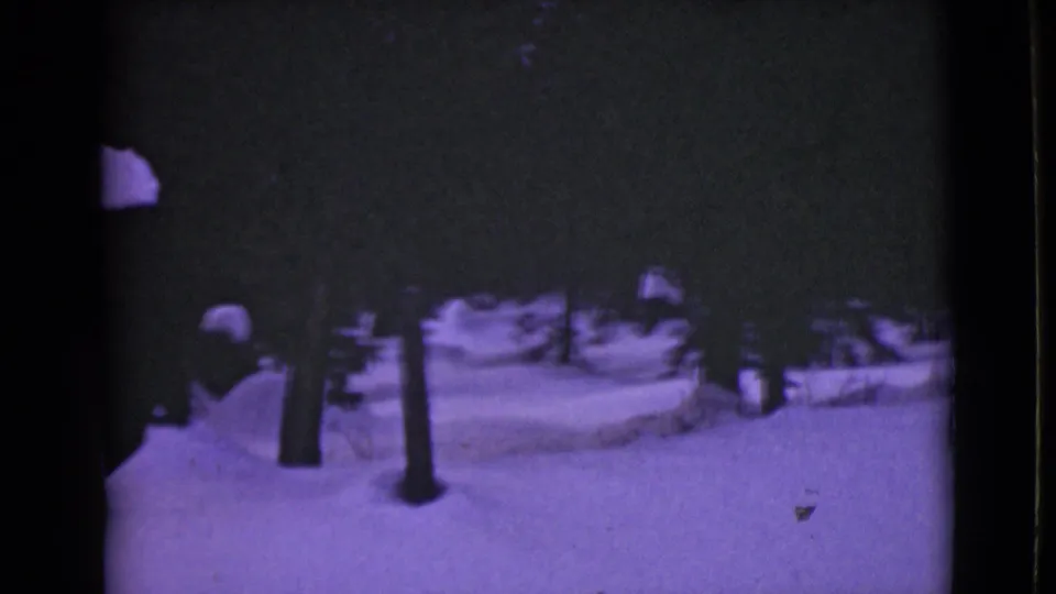 1946 Alaska frame showing tree trunks, heavy snow cover, and a faint roadside or track edge within a dark winter forest.