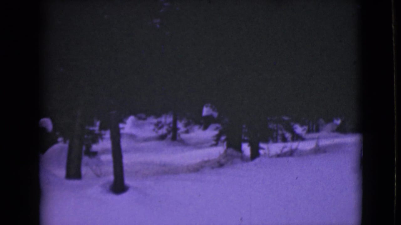 1946 Alaska 8mm frame showing deep snow, dark evergreen trees, and a dim winter sky with a purple film cast.